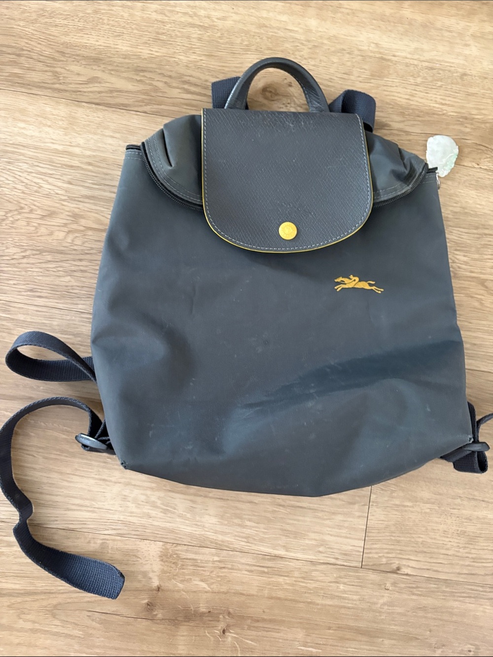 Preloved Longchamp backpack